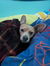Elsie M...