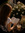 member photo member photo