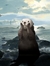 Sealkie