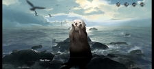 Sealkie
