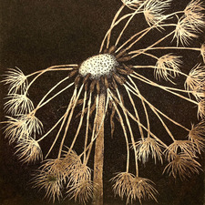 DandelionWished
