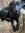 member photo member photo