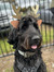 Reader ...