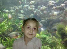 Nehir