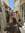 Aiste M