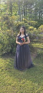Lacybug