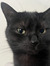 Selina ...
