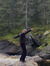 magpie