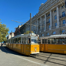 Silvia V