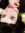 member photo member photo