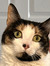 Abby