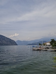 Lau