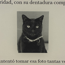 Vicente