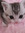 nixe