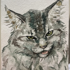 Mikki