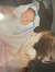 lainey 