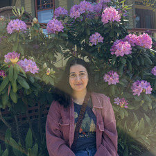 Lilly H