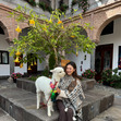 Yili