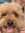 member photo member photo