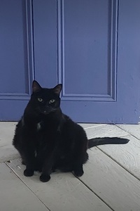 Kate
