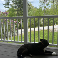 Emily
