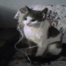 Reader
