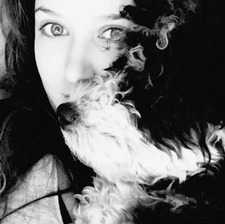 Ashes 🦇