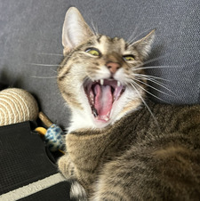 Sabine