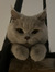 Gosia P...