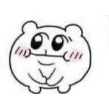 Nico ˙ᵕ˙