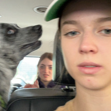 Fin
