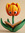 TuliPhan