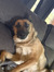 Kaitlynn