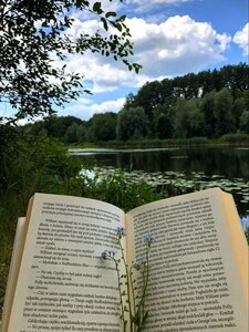 Книжковий Мрійник