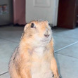 ‏‏‎