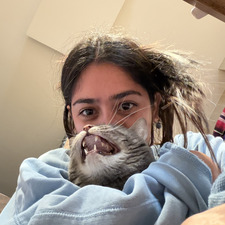 kassandra
