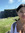 Bela Re...