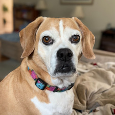 Amy