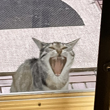 El