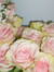 Ayoush