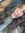Keyt