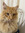 member photo member photo