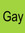 That Gay Book Reader