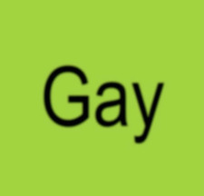 That Gay Book Reader