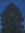 member photo member photo