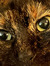 Lune At 