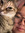 member photo member photo