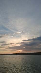 Elanur