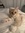 Hayley Faba
