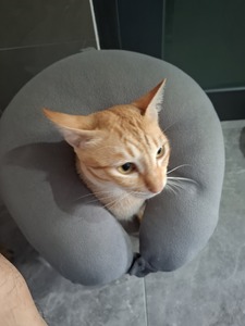 Puqq